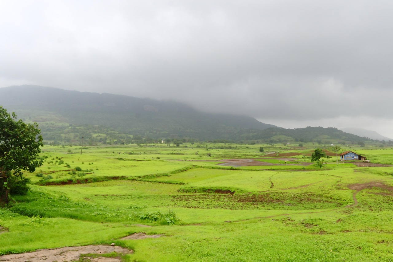 Wedding Car Rental in Jabalpur: Premium Cabs for the Big Day